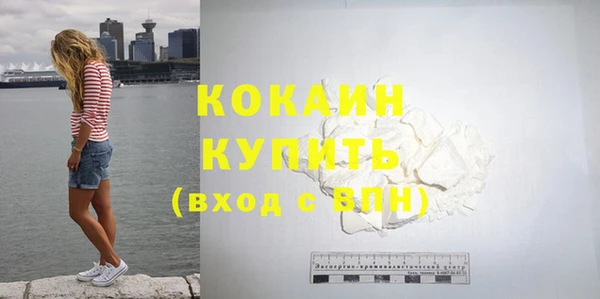 прущие грибы Козловка