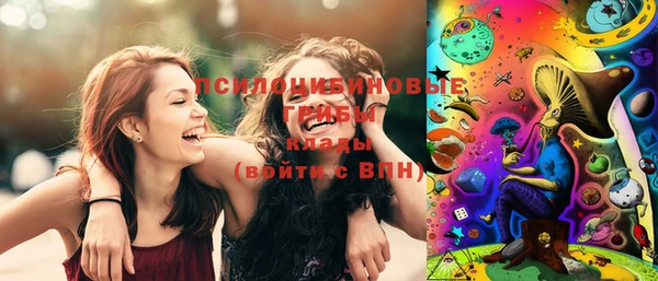 прущие грибы Козловка